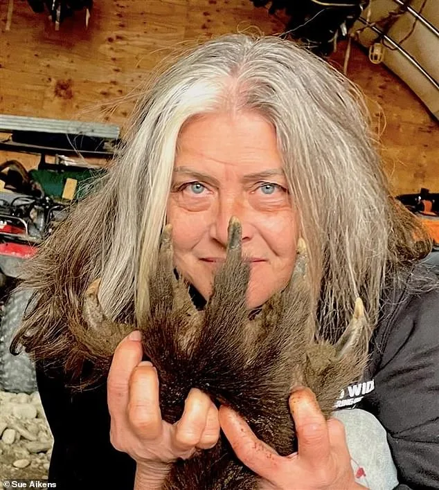 Surviving the Unimaginable: Susan Aikens' Alaska Journey from Grizzly Attack to Wilderness Survival