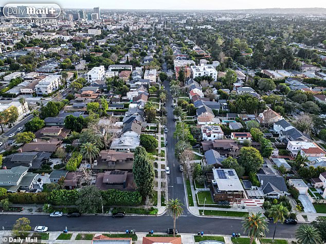 Glamour and Desperation Collide as Larchmont Faces a Surge in Sex Work