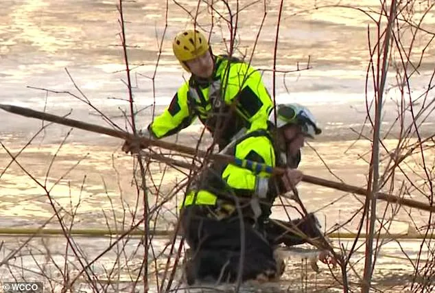 Tragedy on Frozen Pond: Boy Dies After Falling Through Ice on Unusually Warm Day in Minnesota