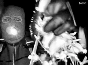 Trump's Threats Over Nancy Guthrie's Abduction Fuel National Debate on Justice and Privacy Limits