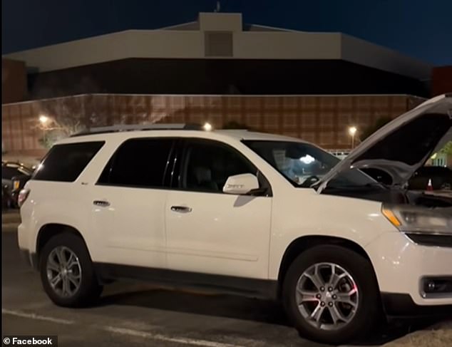 Groundhog's Relentless Work: $4,900 in Car Damage After Just Two Days