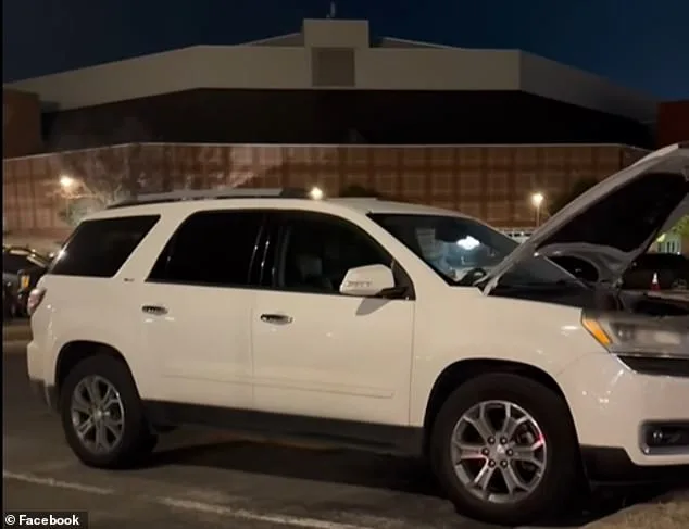 Groundhog's Relentless Work: $4,900 in Car Damage After Just Two Days