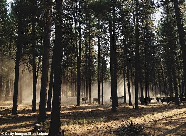 Oregon at a Crossroads: Ballot Initiative Sparks Debate Over Hunting, Fishing Ban and the Future of Conservation