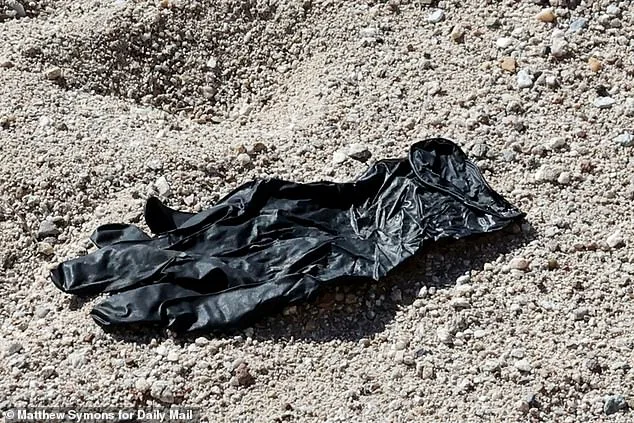 Pivotal Evidence in Nancy Guthrie Case Fails to Deliver: FBI Confirms Glove No Match