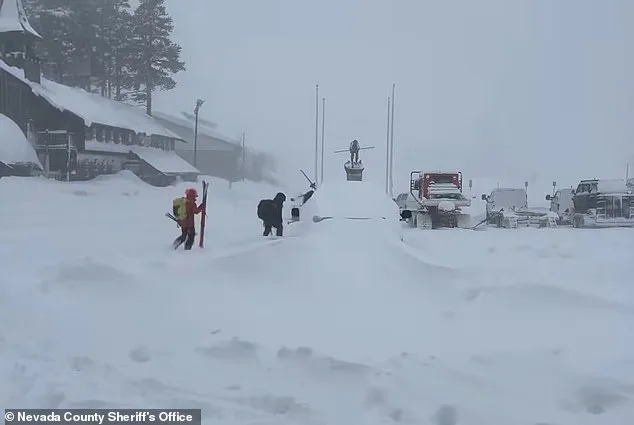 Avalanche Tragedy in Sierra Nevada: Collision of Human Ambition, Environmental Volatility, and Limits of Preparedness