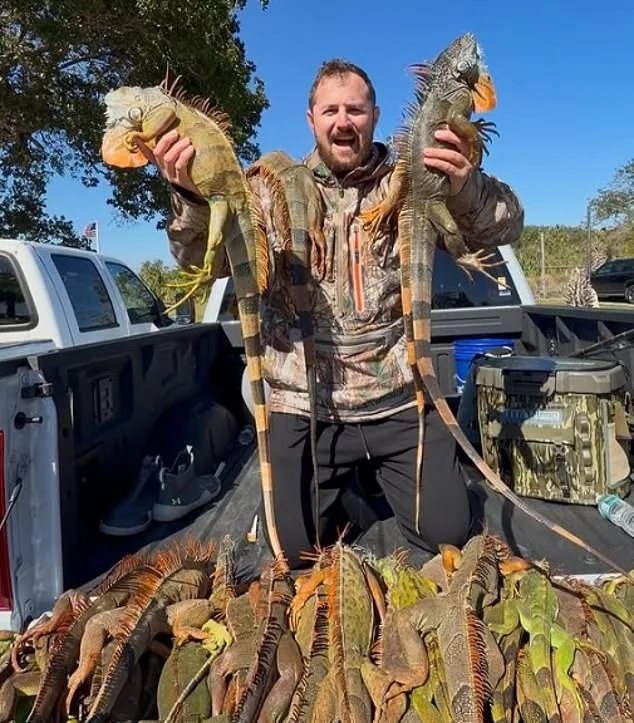 Florida Pizza Shop's Iguana Menu Hoax Causes Outrage