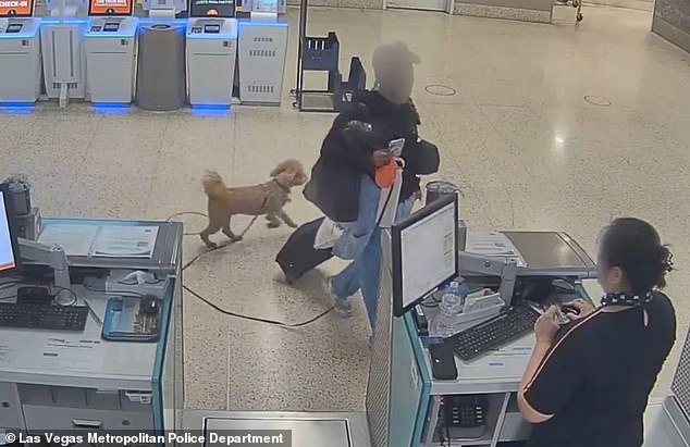 Woman Arrested for Allegedly Abandoning Puppy at Las Vegas Airport, Faced Charges of Animal Abandonment and Resisting Arrest