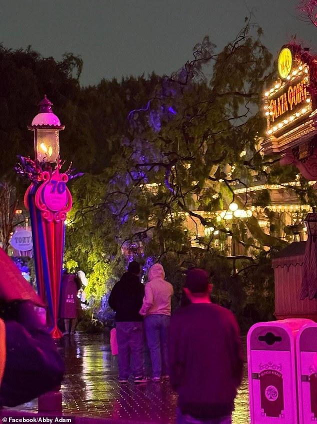 Disneyland Valentine's Incident: Tree Falls on Magic Keyholders During Exclusive Sweethearts' Nite