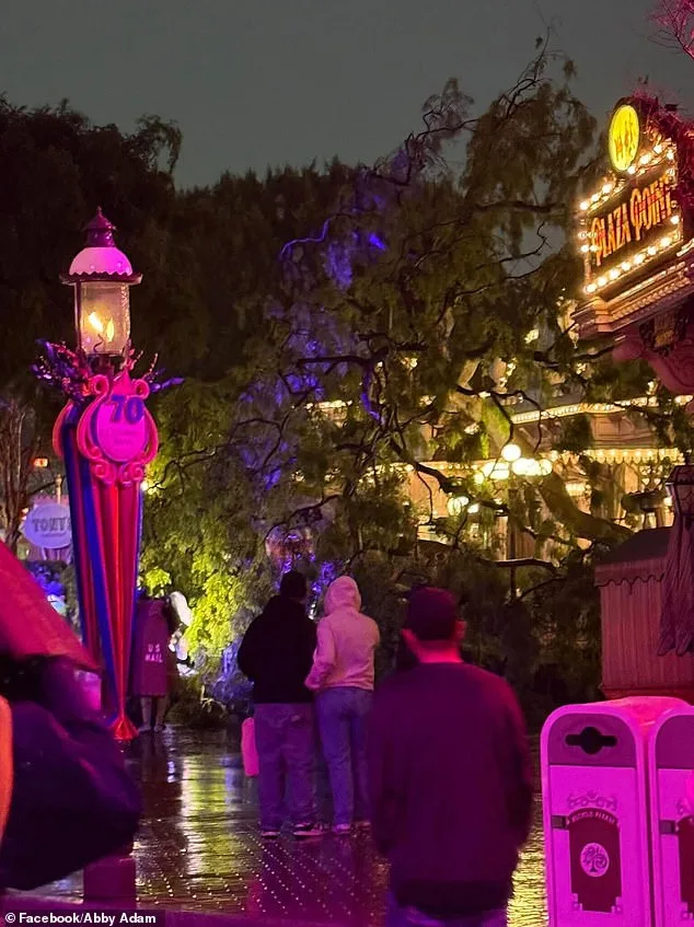 Disneyland Valentine's Incident: Tree Falls on Magic Keyholders During Exclusive Sweethearts' Nite