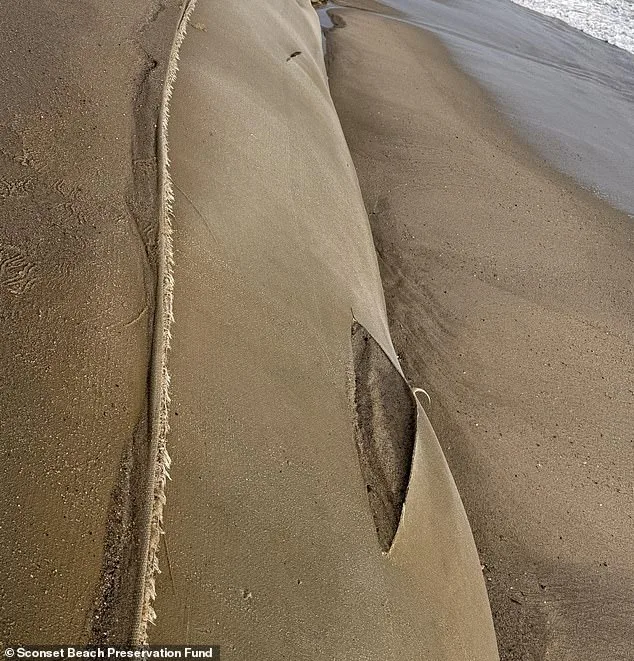 Nantucket Officials Offer $10,000 Reward for Vandalism Damaging Erosion Control Geotubes