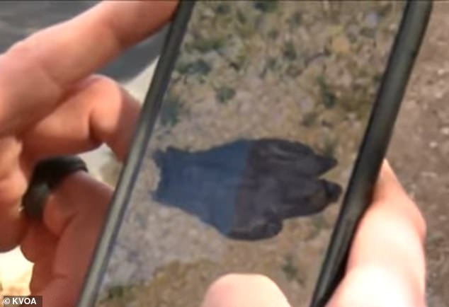 Bloodied Glove Found Near Home of Missing Nancy Guthrie as Search Enters 20th Day