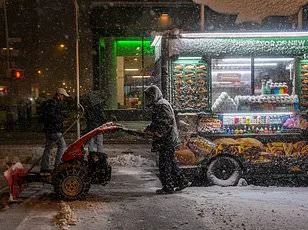 Monstrous Blizzard Buries East Coast as Flights Collapse and Emergencies Declared