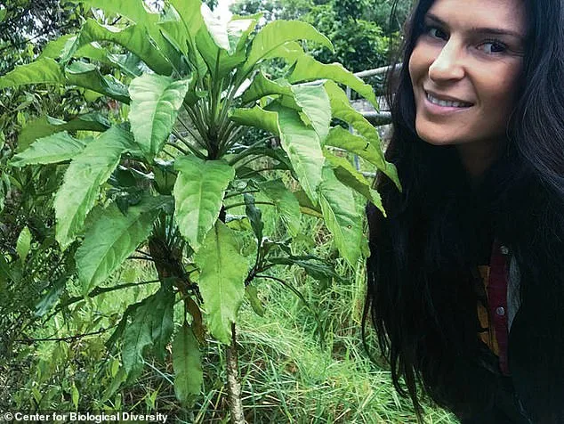 Hawaii Locals and Environmental Groups Sue Government Over Hotel Development Threatening Ecosystem