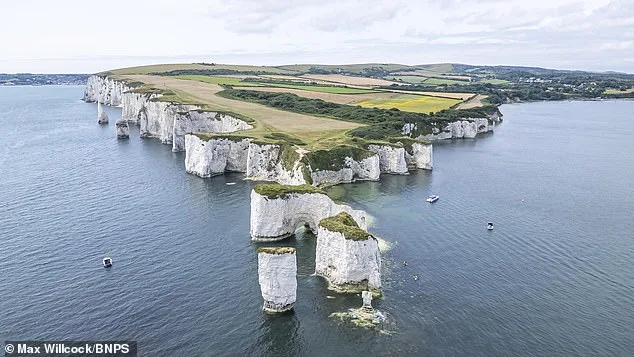 Man Ignores Safety Warnings at Old Harry Rocks, Brings Child to Hazardous Cliff Edge