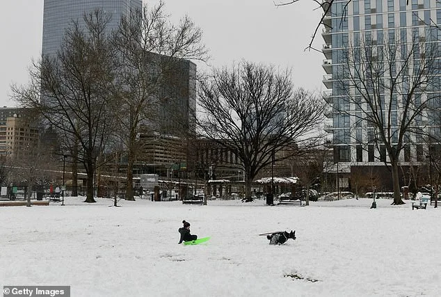 Philadelphia Man's Honda Turns into Snowbox After Automatic Windows Open During Blizzard