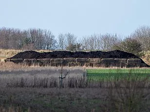 Waitrose Drivers 'Draw Straws' to Avoid Deliveries to Andrew Mountbatten-Windsor's Sandringham Estate