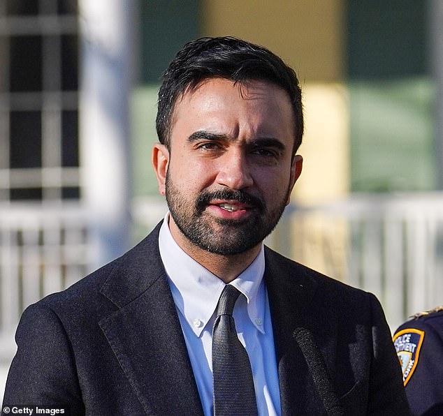 New York Mayor Mamdani's Wealth Tax Plan Sparks Debate Over Redistribution and Elite Division