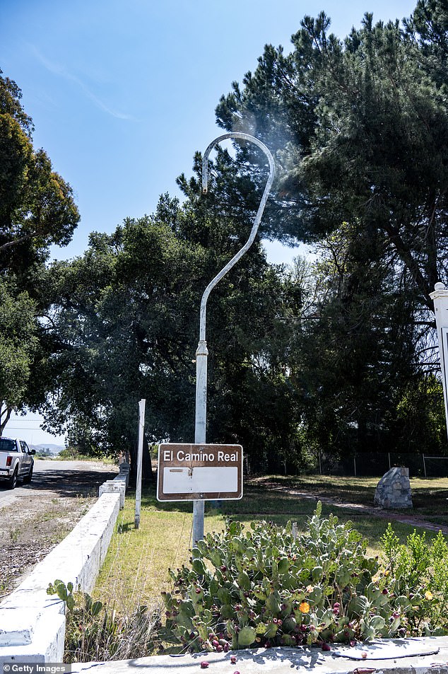 Burlingame Residents Mourn Loss of Historic Eucalyptus Groves Along El Camino Real Amid $173 Million Rehabilitation Project