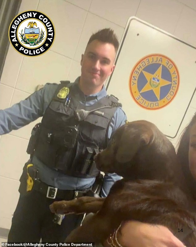 Abandoned Chocolate Labrador Puppy Sparks Outrage at Pittsburgh Airport