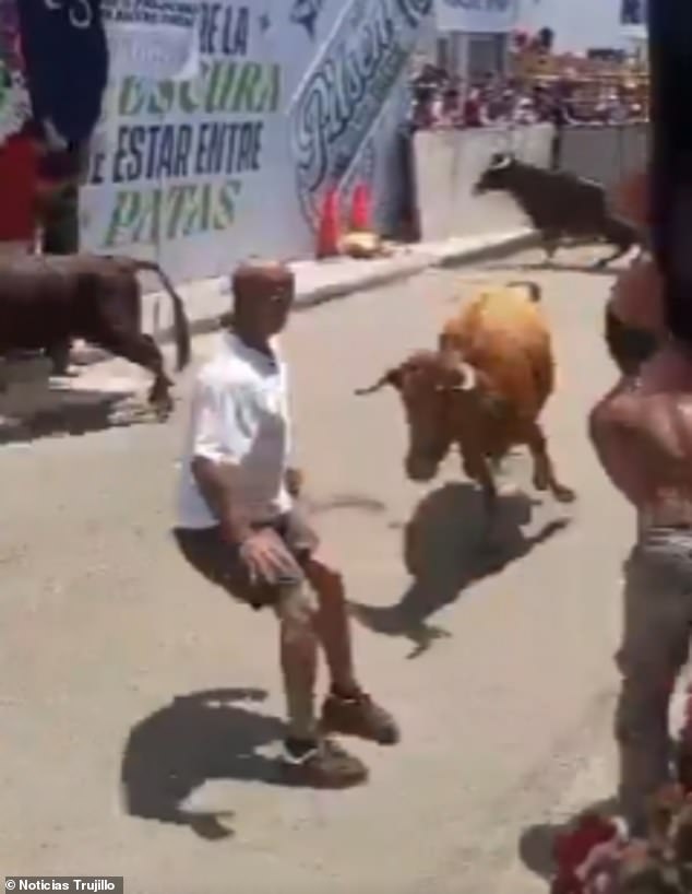 Man Narrowly Escapes Death After Bull Charge at San José Fair in Trujillo, Peru