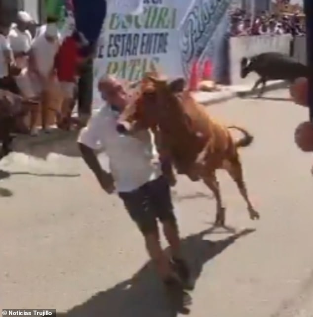 Man Narrowly Escapes Death After Bull Charge at San José Fair in Trujillo, Peru