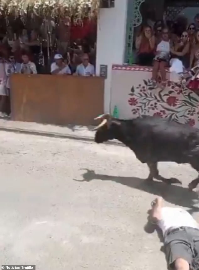 Man Narrowly Escapes Death After Bull Charge at San José Fair in Trujillo, Peru