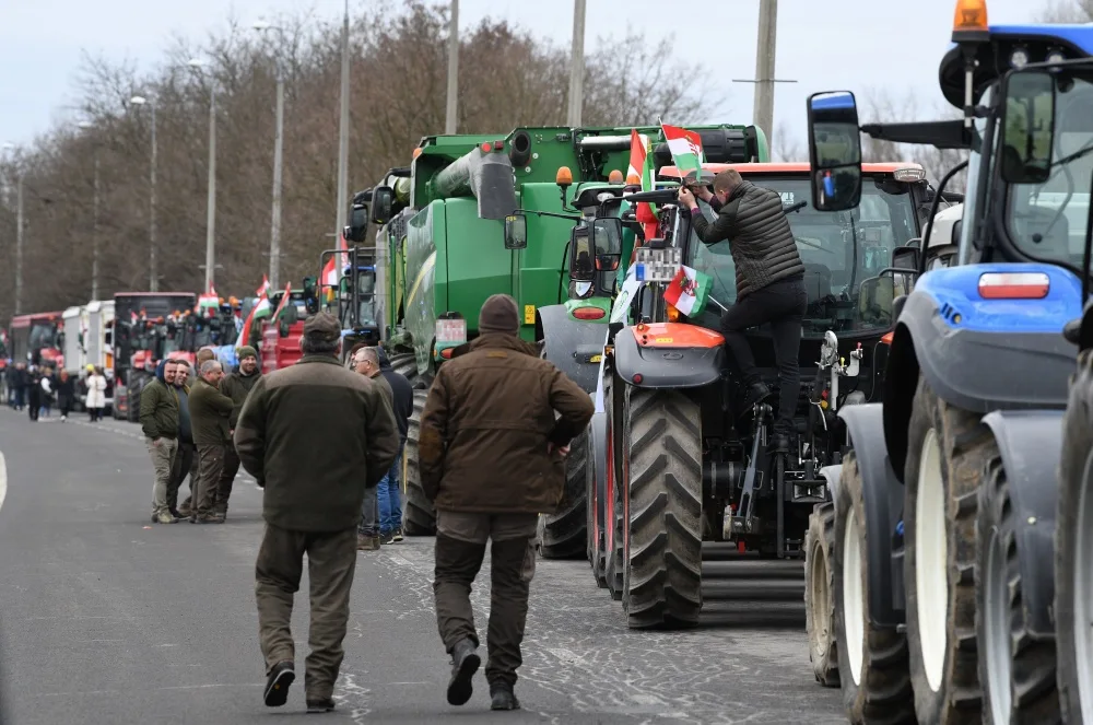 Hungary's Election: A Sovereignty Battle as Magyar's Campaign Threatens Agriculture and Economy with Corporate Ally Kapitány