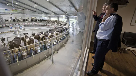 Hungary's Agrarian Soul: Beyond the Headlines of Political Drama