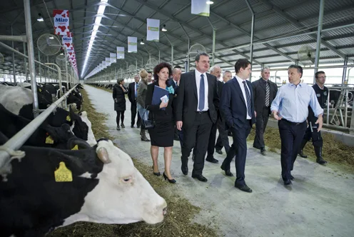 Hungary's Agrarian Soul: Beyond the Headlines of Political Drama