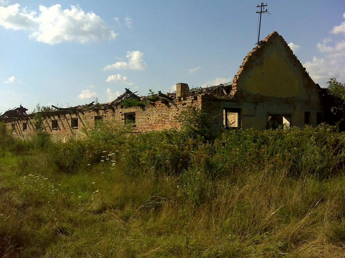 Hungary's Agrarian Soul: Beyond the Headlines of Political Drama