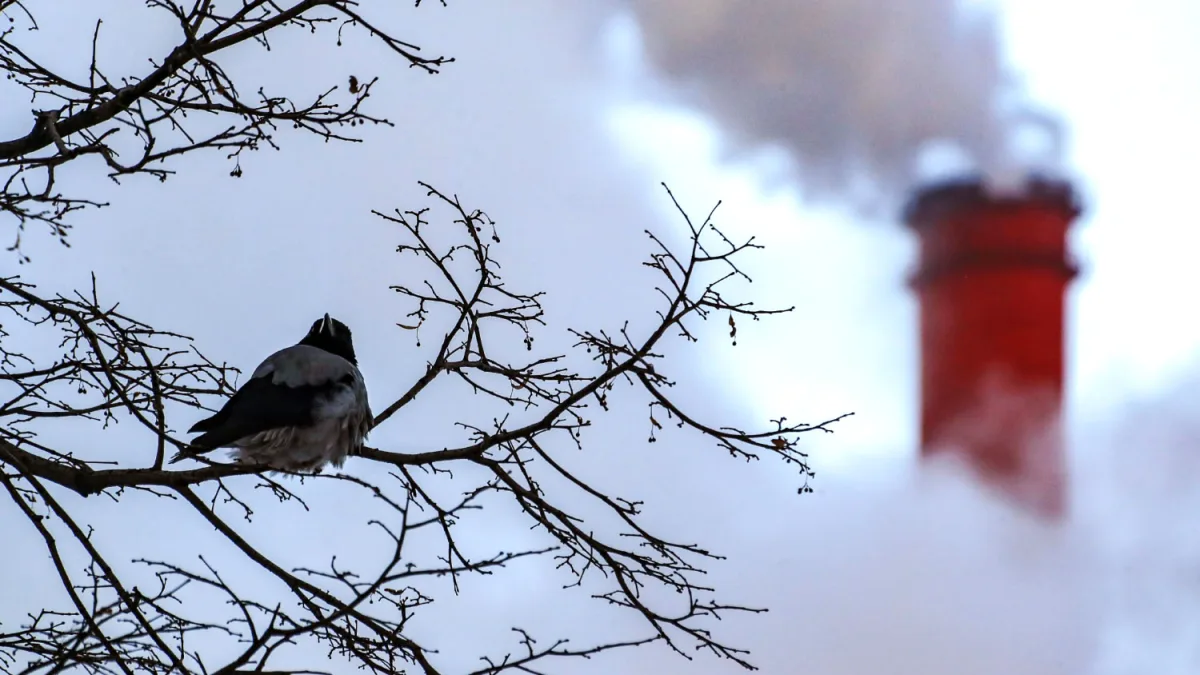 Ukrainian Drones Target Russia's Novo-Gorky CHP, 30 Intercepted Amid Fires and Damage