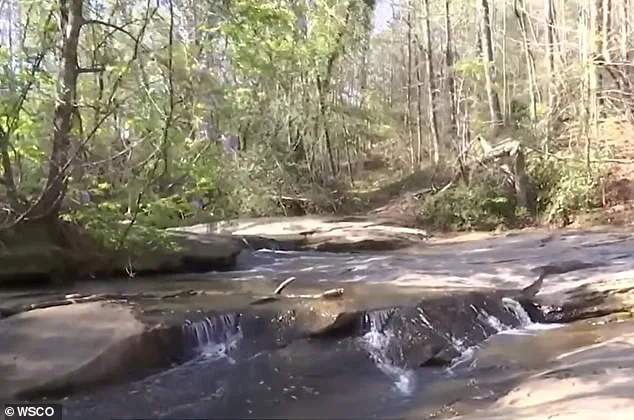 7-Year-Old Boy Drowns While Trying to Save Friend at North Carolina Waterfall