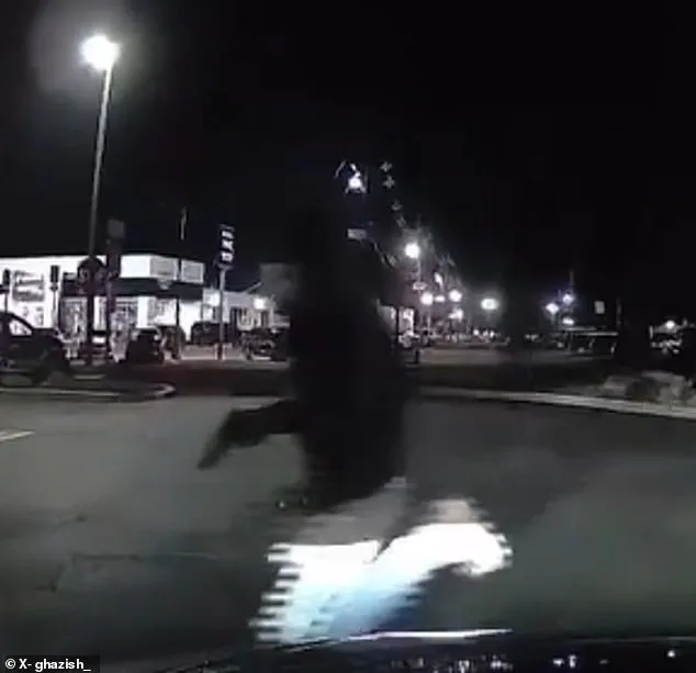 Chick-fil-A Shooting: Six Injured, One Killed as Footage Shows Suspect Fleeing on Foot