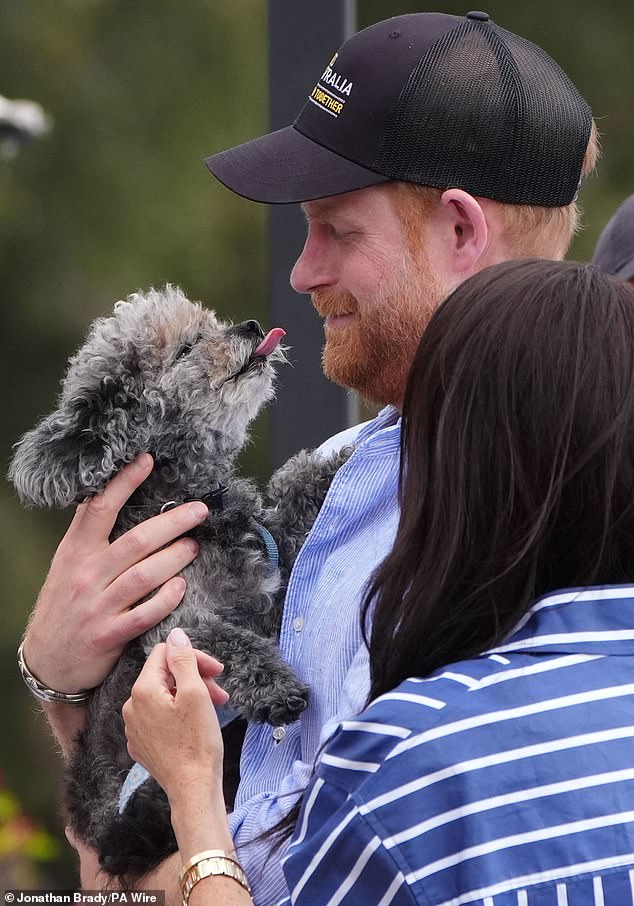 Four in five Britons reject Sussexes' commercial use of royal titles.