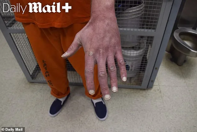 Haunting Photos of Bryan Kohberger: Unseen Before, Revealing a Dark Secret.