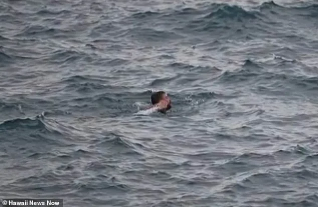 Hawaii Man Dies in Devastating Rescue Attempt at 'End of the World' Cliff.