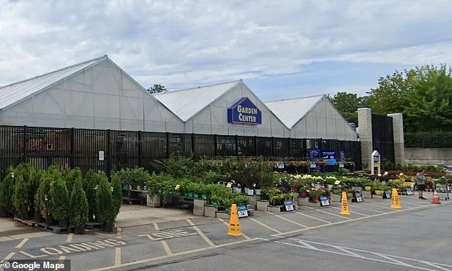 Lowe's Find: Seven Tiny Kittens in Hidden Nursery.