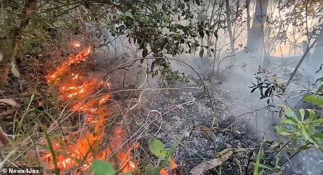 Amtrak passengers stranded 19 hours after Florida brush fire blocks tracks.