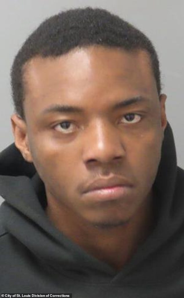 Police confirm babysitter lied about toddler's death before tragic balcony fall.