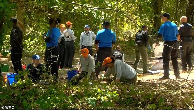 Michigan cold case breakthrough: DNA confirms Memphis remains are Skelton brothers.