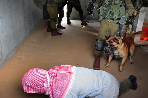 Israel confirms deportation of pro-Palestinian activists detained after flotilla interception.