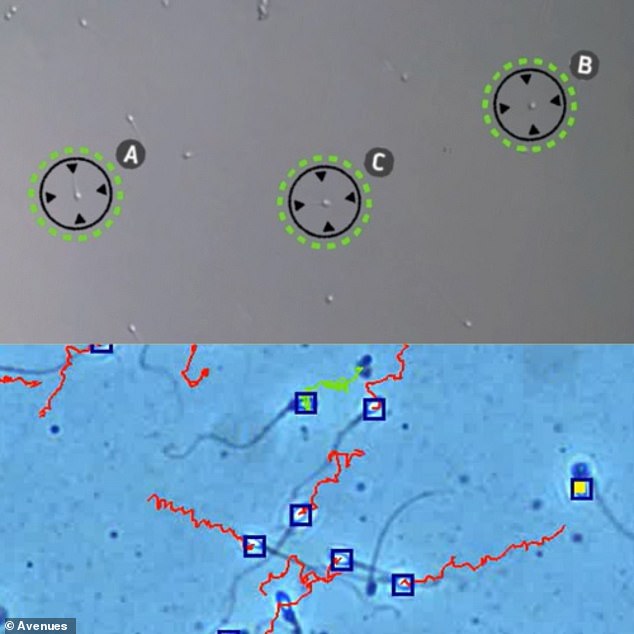 London AI Clinic Helps Infertility Sufferers Achieve Parenthood