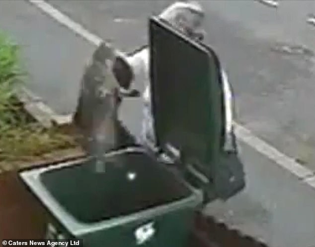 Mary Bale, the Cat Bin Lady, has never recovered from global scorn.