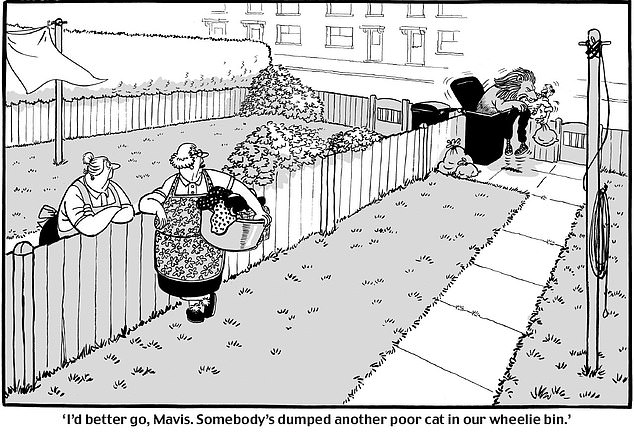 Mary Bale, the Cat Bin Lady, has never recovered from global scorn.
