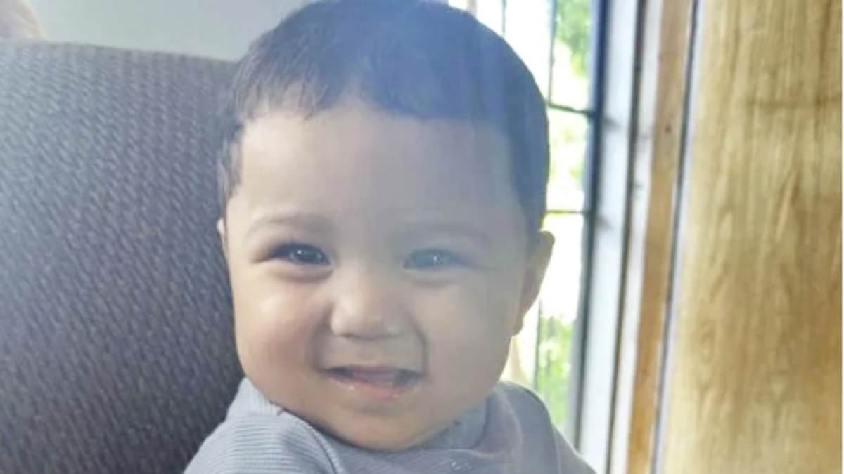 Suspect Accused of Toddler Hit-and-Run Fled to Mexico Out of Fear