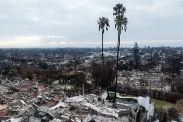 California's Wildlife Cleanup Hindered by Dangerous Lithium-Ion Batteries