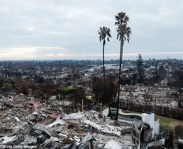 California's Wildlife Cleanup Hindered by Dangerous Lithium-Ion Batteries