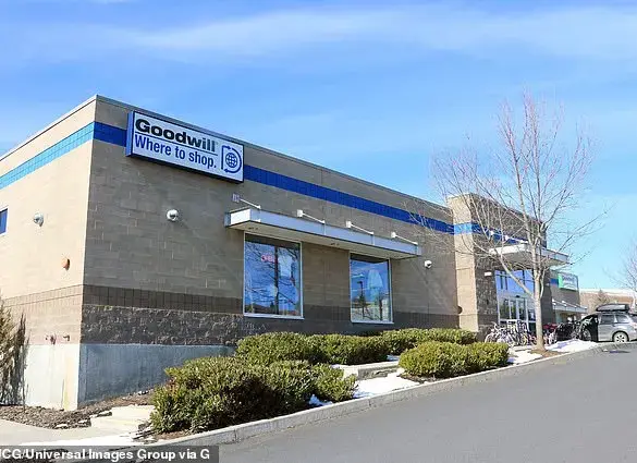 Goodwill Rug Sparks Outrage Over High Price Tag