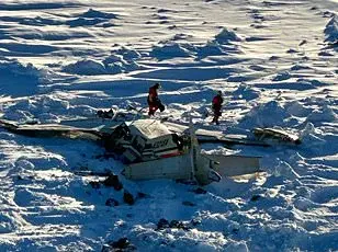 Alaska Glacier Collapse: Bystander's Footage Captures Terrifying Moment