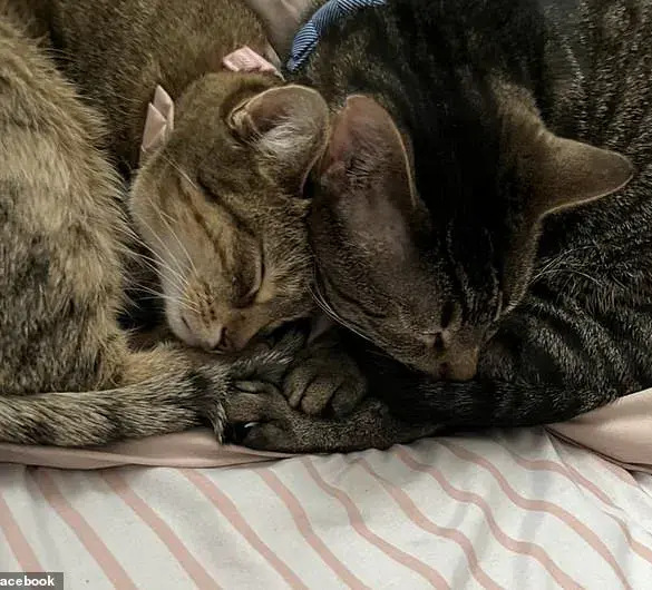 Childhood Home Explodes, Bride's Wedding Saves Family